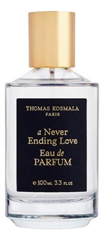 Thomas Kosmala A Never Ending Love - фото 17902
