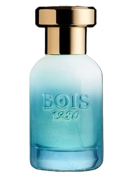 Bois 1920 Marasma BOIS_034