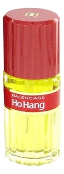Balenciaga Ho Hang - фото 8649