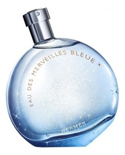 Hermes Eau des Merveilles Bleue - фото 9637