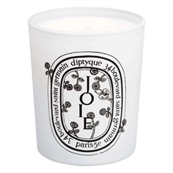 Diptyque Mina Ciel 135132