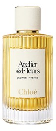Chloe Cedrus Intense CHL_002