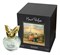 Monart Parfums Un Reve Doux MNRT_004